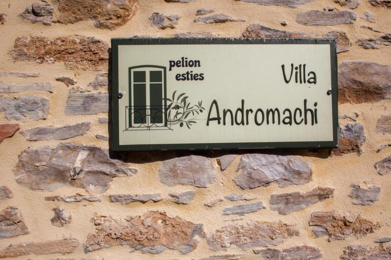 Villa Andromachi By Pelion Esties Ano Gatzea Exterior photo